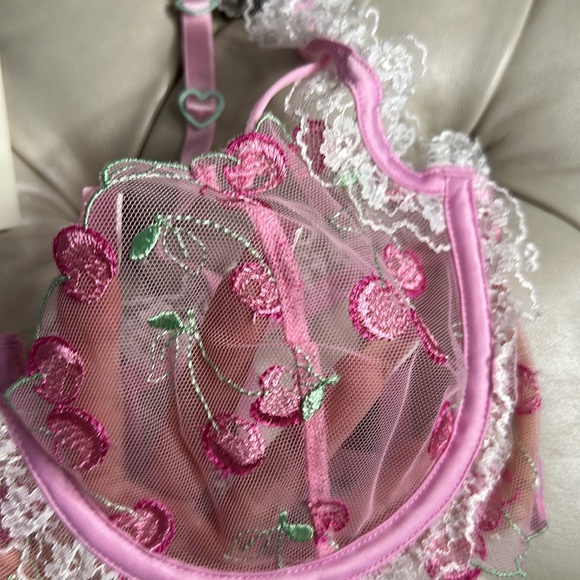 🍒NWT For Love & Lemons Pink Cherries Underwire Bra Size M🍒 - Picture 11 of 14